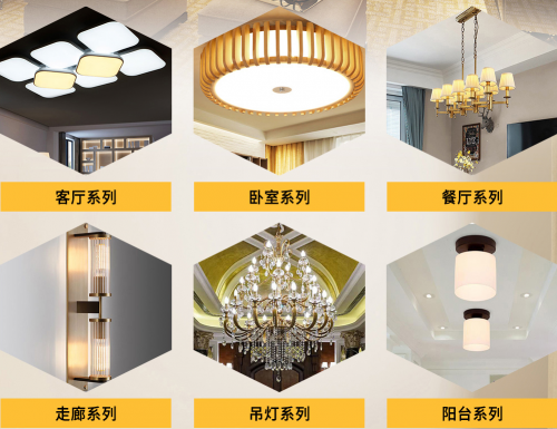 公司介绍